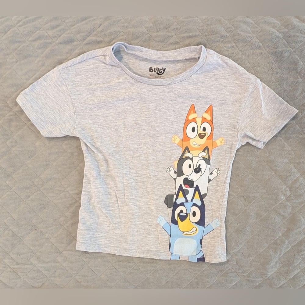 Bluey Kids Size 5 Gray Bluey T-Shirt